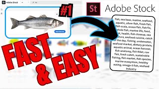 The Best Way To Tag Stock Photos Adobe Stock Tutorial [upl. by Arayt]