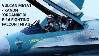 Vulcan M61A1  Kanon quotOrganikquot di F16 Fighting Falcon TNI AU [upl. by Fasa]