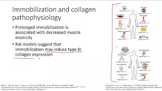 Musculoskeletal Patho Chronic Inflammation Part 1 [upl. by Royd]