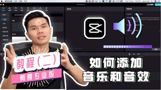 剪映电脑版教学（二）｜如何添加音乐和音效｜如何消音｜如何变音 [upl. by Aniarrol78]