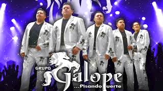 Grupo Galope Chilenas Para Bailar Mix 2024 [upl. by Valora]