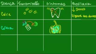 Cáries cólera e disenteria  Parasitologia  Biologia [upl. by Cerracchio]