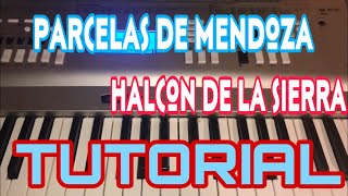 Las Parcelas de Mendoza  El Halcon de la Sierra Melodia Tutorial en Teclado [upl. by Behn]