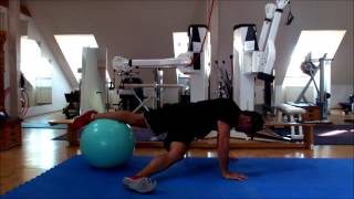 Swiss Ball Workout For Hockey Players [upl. by Siravrat]