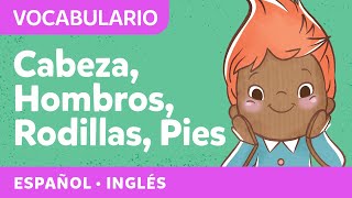 Cabeza hombros rodillas y pies  Canciones para niños pequeños  Spanish songs for littles [upl. by Enyawal]