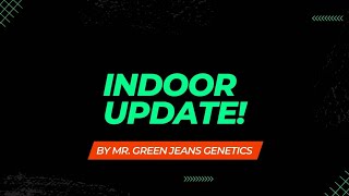 Indoor Update [upl. by Olemrac]