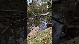 Candler Creek off Deadwyler Road [upl. by Charlene738]