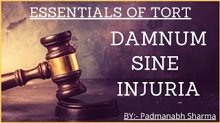 Essentials of Tort  Damnum Sine Injuria  Case laws  Law of torts  Part3 [upl. by Ennayram100]