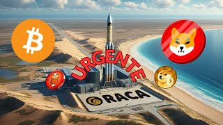 URGENTE PREÇOS SUBINDO de RACA  BTC  SHIB  BONE  BABYDOGE [upl. by Shore]