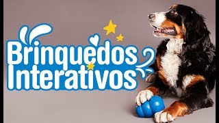 Review Brinquedos Interativos para Cachorros [upl. by Isabea694]