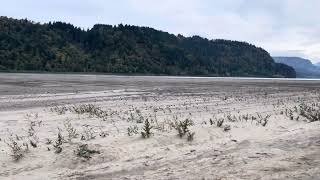 Rooster Rock State Park Corbett Oregon [upl. by Harmon]