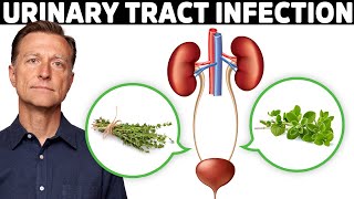 1 Best Remedy for a UTI Urinary Tract Infection [upl. by Lyram]