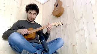 Antica Ukuleleria 8 string baritone ukulele [upl. by Leruj101]