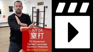 VingTsun Wing Chun Online Training JUT DA quot3Dimensional Forces Correct Leverage [upl. by Rust]