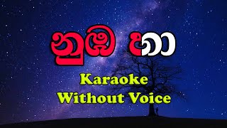 Numba Ha Suraganak Wilasa  නුඹ හා සුරඟනක් විලස  Dilu Beats  Karaoke [upl. by Lama]