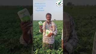 ytshorts vestige agri agriproduct sucesscrop mirchi [upl. by Enirrok]