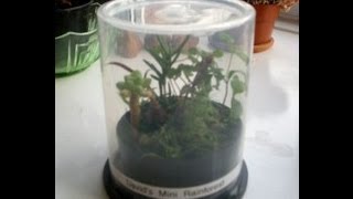 Upcycling a CD Spindle Case Into A Plant Propagator [upl. by Warram]