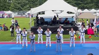 Kukkiwon Taekwondo Demonstration Pine board breaking techniques [upl. by Kella]