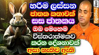 හරිම මනරම් ජාතක කතාවක්  සස ජාතකය  sasa jathakaya  Koralayagama saranathissa thero bana 2024 [upl. by Worl]