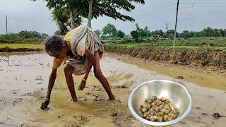 90 year old poor grandma Cooking GUGULI curry with Brinjan amp eating with water ricevillage kitchen [upl. by Lamoureux]