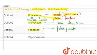 Which of the following is valid name for Gramineae family [upl. by Jacynth]