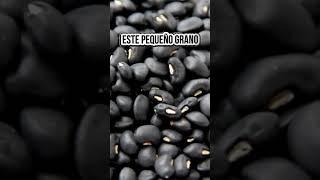 Frejol Negro La Clave para una Alimentación Saludable y Nutritiva alimentosnaturales [upl. by Reynolds]