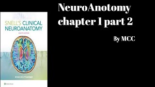 Neuroanatomy Chapter 1 part 2CerebrumDivision of Peripheral Nervous systemDevelopment Of CNS [upl. by Solana]