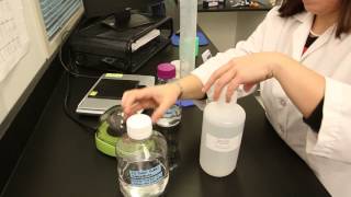 Ochratoxin Test Kit Training Video [upl. by Kered]