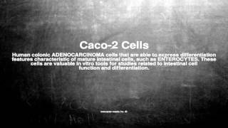 Medical vocabulary What does Caco2 Cells mean [upl. by Lipfert]