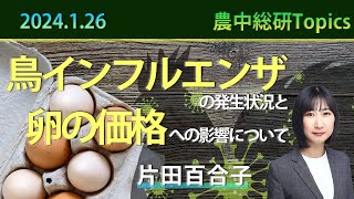 2024年1月26日「鳥インフルエンザの発生状況と卵の価値への影響について」 [upl. by Nnire729]