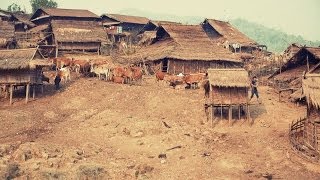 Get A Taste Of Akha Hill Tribe Village Life In This Video From Northern Laos [upl. by Arlie]