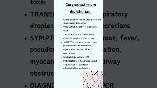 Corynebacterium diphtheriae [upl. by Achilles]