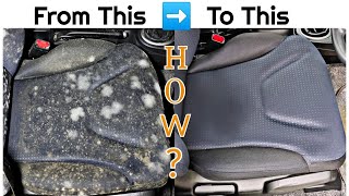 How to Clean MoldFungus from Car Interior Feat Wow My Car [upl. by Lokim]