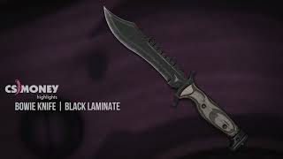 CSGO  Bowie Knife  Black Laminate [upl. by Arrehs]