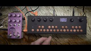 Critter and Guitari Organelle S with Chase Bliss Mood mk2 [upl. by Sapphera]