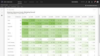 Cohort Analysis Using Any Dimension [upl. by Alvita]