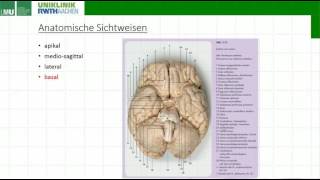 Allgemeine Topographie Neuroanatomie Nachschlagen Lernen Verstehen [upl. by Akeyla]