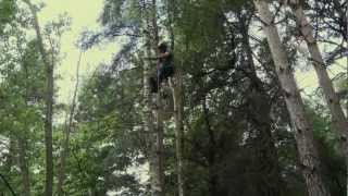 Kingswood Training  Overview of our Tree Surgery Training amp Chainsaw Courses [upl. by Dredi]