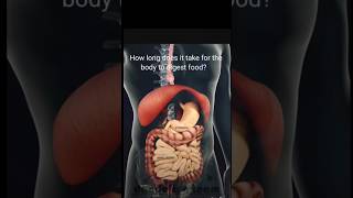 how to work our digestive system biology anatomy viralVasudev ghat yamuna aartu [upl. by Ayak366]