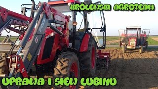 Zetor Major 80★Ursus C360★SIEW ŁUBINU★Agregat uprawowosiewny Janpol★Siewnik AgroMasz 27m [upl. by Ddart62]