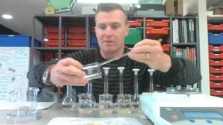 Osmosis in Potato Cells Experiment [upl. by Bensky483]