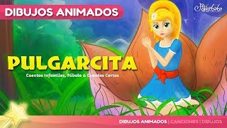 Pulgarcita  cuentos infantiles en Español [upl. by Wehner941]