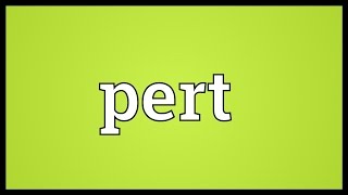 Pert Meaning [upl. by Nailij]