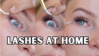 how to apply lash clusters for beginners  tips [upl. by Ahsimrac]