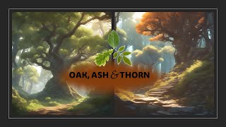 Oak Ash and Thorn Old English Folk Song Instrumental Cover [upl. by Ube]