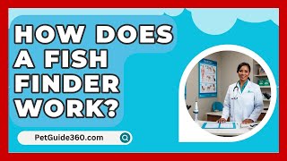 How Does A Fish Finder Work  PetGuide360com [upl. by Desireah703]