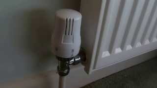 How to fix a thermostatic radiator valve if your radiator is not heating up [upl. by Fulvia]