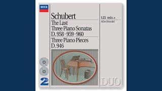 Schubert Piano Sonata No 19 in C Minor D 958 I Allegro [upl. by Liebowitz167]