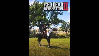 EL CABALLO MESTIZO HÚNGARO TOBIANO PIEBALD reddeadredemtion2arthurmorgangamingshortshorsefyp [upl. by Ziagos]