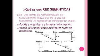 Red Semantica [upl. by Voleta]